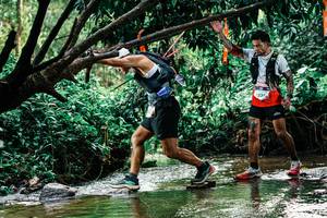 BIB: 
                            <button type="button" onclick="openModal(25269775)" class="btn btn-primary btn-sm float-right btn-popup" data-toggle="modal" data-target=".modal-high-quality">
                        <i class="fas fa-shopping-cart"></i> Add to Cart
                    </button>
                                            <button type="button" onclick="isThisMe(25269775, true)" class="btn btn-success btn-sm float-right btn-popup btn-isme hidden" data-toggle="tooltip" data-placement="bottom" title="นี่คือรูปของคุณใช่ไหม คลิกที่นี่เพื่อเอาเข้าอัลบั้ม">
                        <i class="fas fa-plus"></i> Add to album
                    </button>
                    <button type="button" onclick="isThisMe(25269775, false)" class="btn btn-warning btn-sm float-right btn-popup btn-isnotme hidden">
                        <i class="fas fa-ban"></i> Remove from album
                    </button>